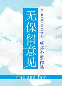 无保留意见封面