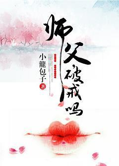师父,破戒吗?封面