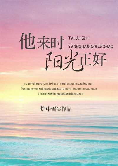 他来时阳光正好封面