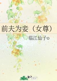 前夫为妾(女尊)封面
