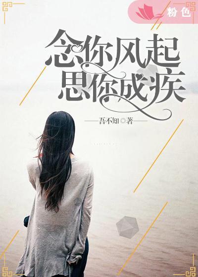 念你风起,思你成疾封面