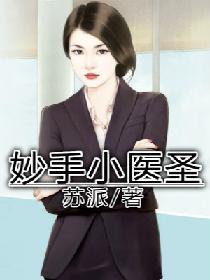 妙手小医圣封面