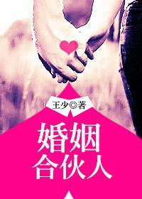 婚姻合伙人封面