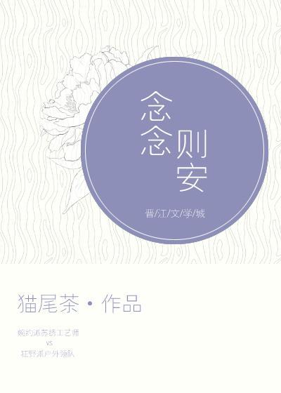 念念则安封面