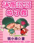 坏蛋哥哥放了我封面