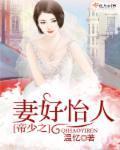 帝少之妻好怡人封面