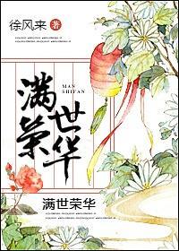 满世荣华封面