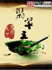 翡翠王封面