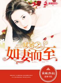 暖婚之如妻而至封面