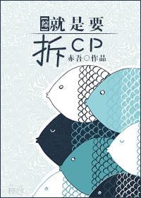 [综]就是要拆CP封面