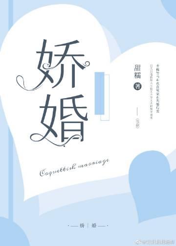 小娇纵封面