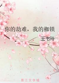 你的劫难，我的枷锁封面