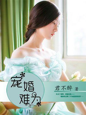 宠婚难为封面
