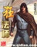 狂法师封面