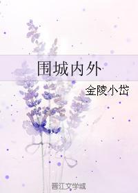 围城内外封面