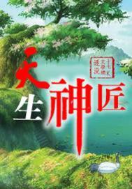 天生神匠封面