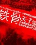 铁骨封面