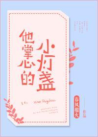 他掌心的小灯盏封面