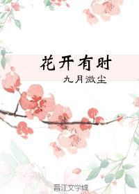 花开有时封面