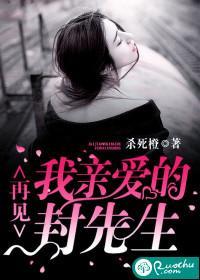 再见，我亲爱的封先生封面