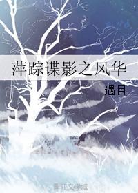 萍踪谍影之风华封面