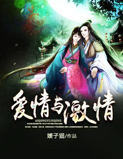 爱情与激情封面