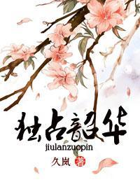 独占韶华封面