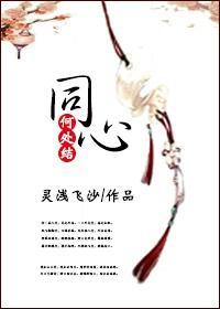 何处结同心封面