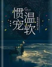 惯宠温软封面