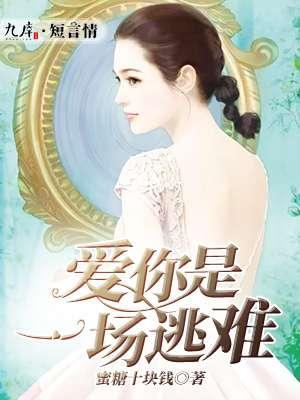 爱你是一场逃难封面