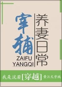 宰辅养妻日常封面