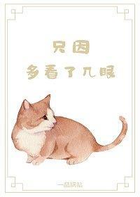 只因多看了几眼封面
