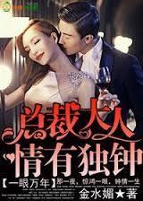 一眼万年，总裁大人情有独钟封面