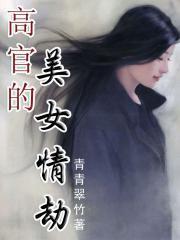 邂逅女设计师：高官情劫封面