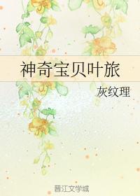 神奇宝贝叶旅封面
