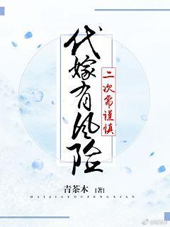 代嫁有风险,二次需谨慎封面