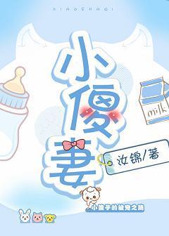 小傻妻封面