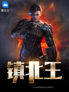 镇北王全文封面