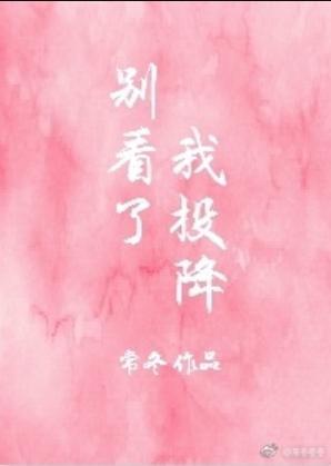 别看了我投降封面