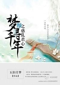 梦寻千年之惑乱君心封面