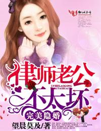 完美隐婚，律师老公不太坏封面