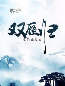 双雁归封面