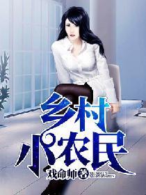 乡村小农民封面
