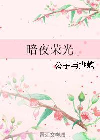 暗夜荣光封面
