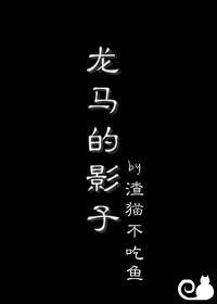 [综网王]龙马的影子封面