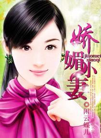 娇媚小妻封面