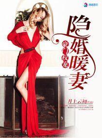 豪门权宠之隐婚暖妻封面
