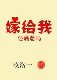 嫁给我还满意吗封面