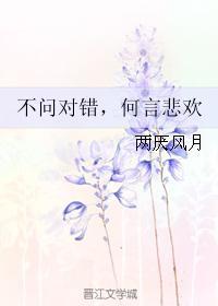 不问对错，何言悲欢封面
