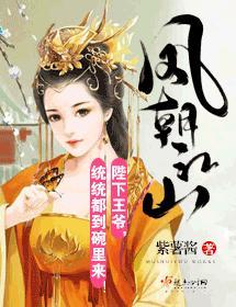 凤朝江山封面